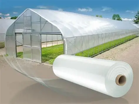 24 Aylık Sera Naylonu UV + IR + EVA Katkılı Dayanıklı Örtü